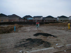 April 20, 2004 - Before picture