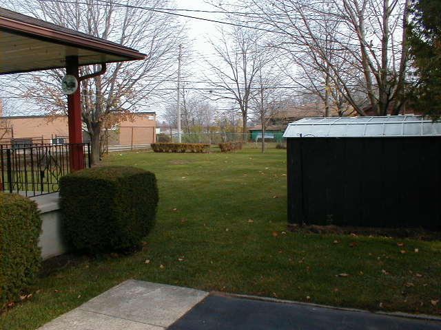 Back yard.jpg