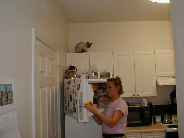 keiko_on_fridge3.jpg